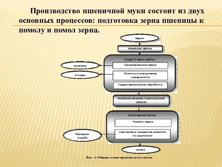 Производство пшеничной муки состоит из двух основных процессов: подготовка зерна пшеницы к помолу и помол зерна.