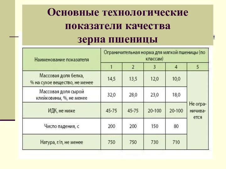 Основные технологические показатели качества зерна пшеницы