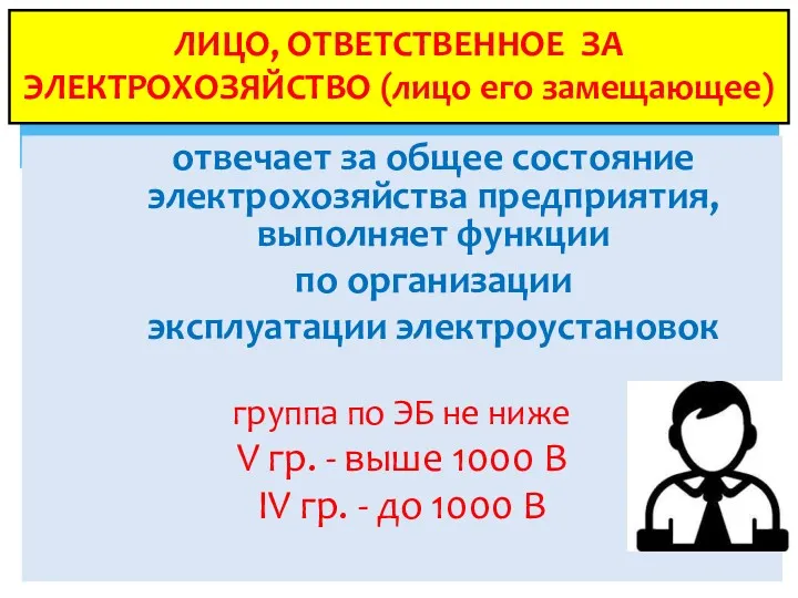 ЛИЦО, ОТВЕТСТВЕННОЕ ЗА ЭЛЕКТРОХОЗЯЙСТВО (лицо его замещающее) отвечает за общее