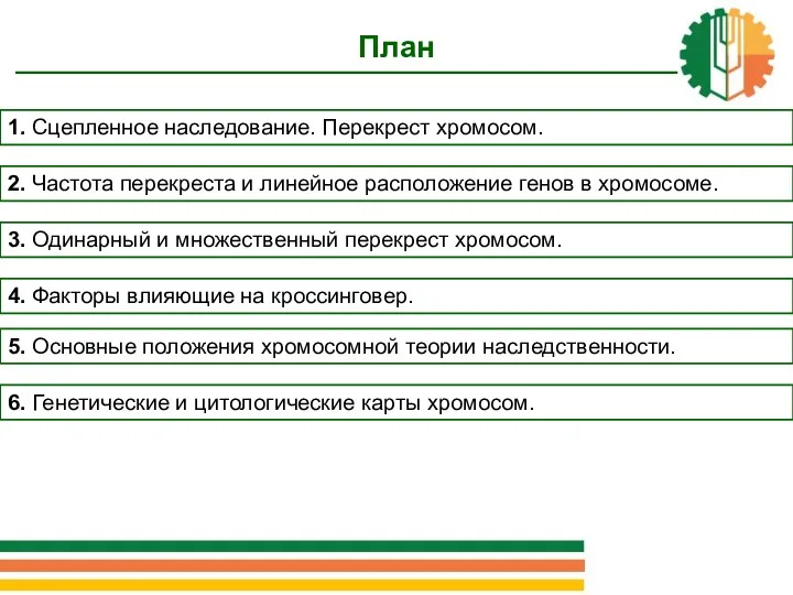 План 3. Одинарный и множественный перекрест хромосом. 4. Факторы влияющие