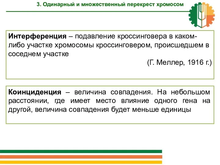 Интерференция – подавление кроссинговера в каком-либо участке хромосомы кроссинговером, происшедшем