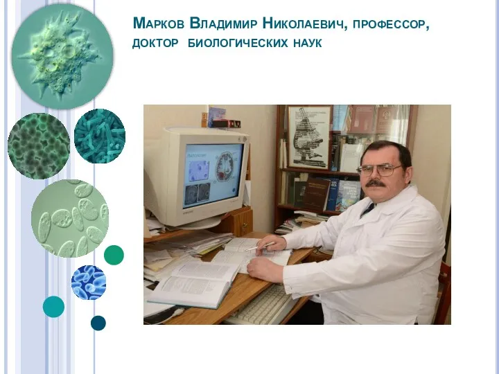 Марков Владимир Николаевич, профессор, доктор биологических наук