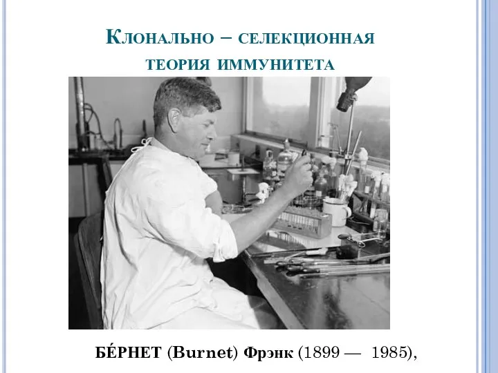 Клонально – селекционная теория иммунитета БЕ́РНЕТ (Burnet) Фрэнк (1899 — 1985),