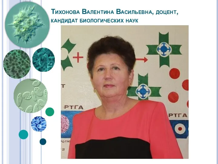 Тихонова Валентина Васильевна, доцент, кандидат биологических наук