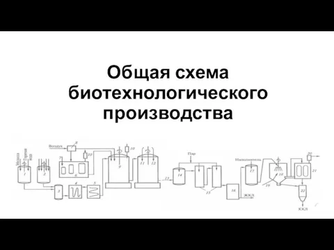 Общая схема биотехнологического производства