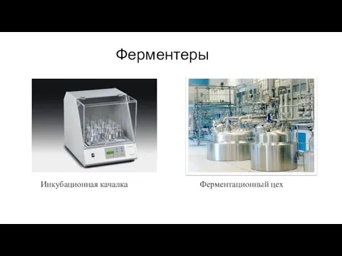 Ферментеры Инкубационная качалка Ферментационный цех