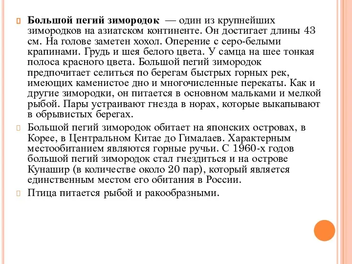 Большой пегий зимородок — один из крупнейших зимородков на азиатском континенте. Он достигает