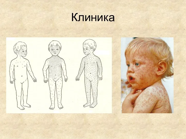 Клиника