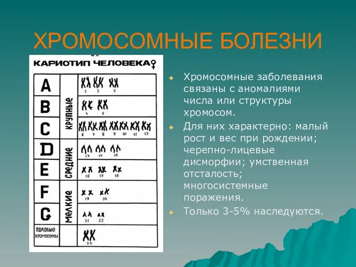 ХРОМОСОМНЫЕ БОЛЕЗНИ Хромосомные заболевания связаны с аномалиями числа или структуры