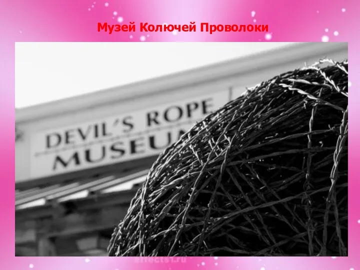 Музей Колючей Проволоки