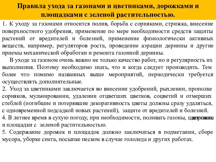 Правила ухода за газонами и цветниками, дорожками и площадками с