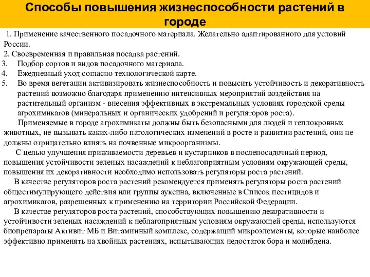 Способы повышения жизнеспособности растений в городе 1. Применение качественного посадочного