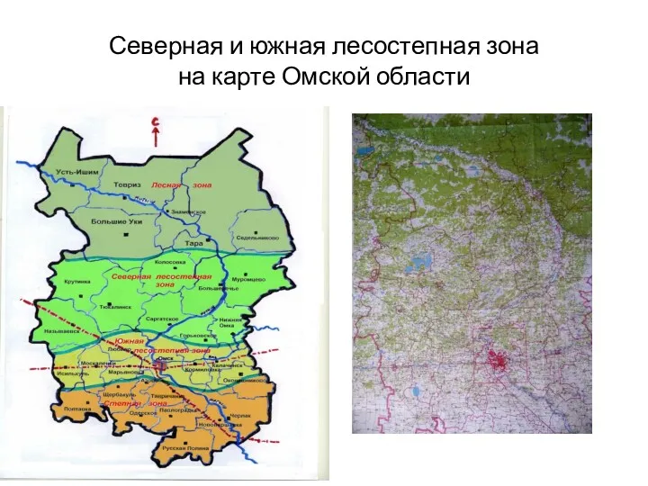 Северная и южная лесостепная зона на карте Омской области