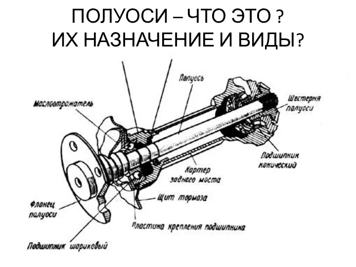 ПОЛУОСИ – ЧТО ЭТО ? ИХ НАЗНАЧЕНИЕ И ВИДЫ?