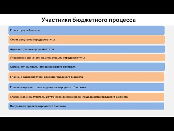 Участники бюджетного процесса Глава города Апатиты Совет депутатов города Апатиты