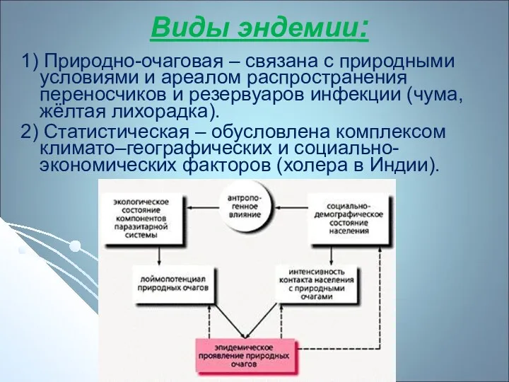 Виды эндемии: 1) Природно-очаговая – связана с природными условиями и