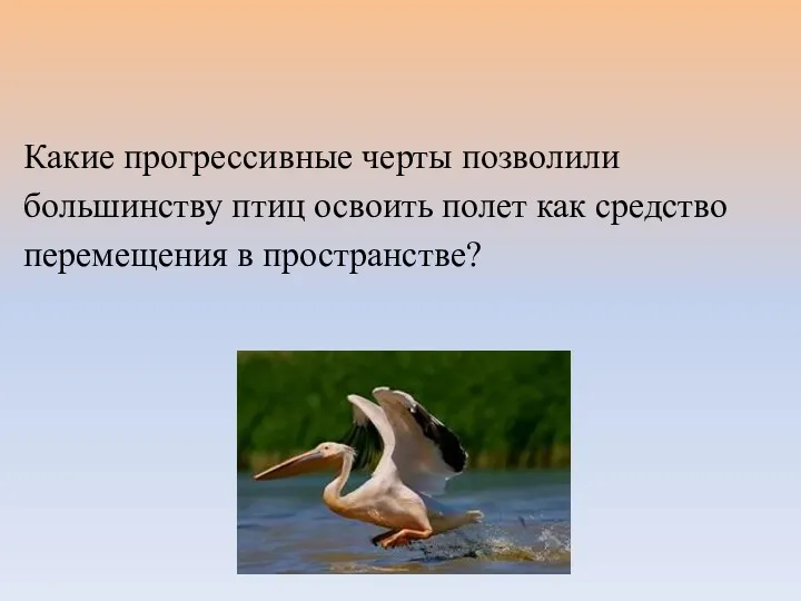 Какие прогрессивные черты позволили большинству птиц освоить полет как средство перемещения в пространстве?