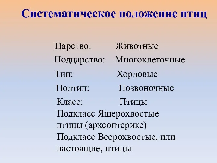 Царство: Животные Систематическое положение птиц Подцарство: Многоклеточные Тип: Хордовые Подтип: