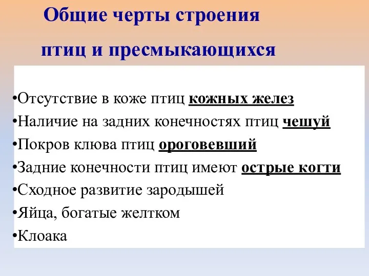 Отсутствие в коже птиц кожных желез Наличие на задних конечностях