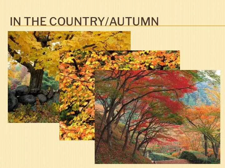 IN THE COUNTRY/AUTUMN