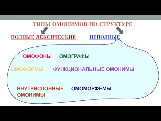 ТИПЫ ОМОНИМОВ ПО СТРУКТУРЕ ПОЛНЫЕ ЛЕКСИЧЕСКИЕ НЕПОЛНЫЕ ОМОФОНЫ ОМОГРАФЫ ОМОФОРМЫ ФУНКЦИОНАЛЬНЫЕ ОМОНИМЫ ВНУТРИСЛОВНЫЕ ОМОМОРФЕМЫ ОМОНИМЫ