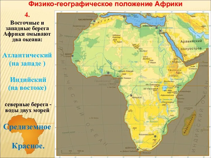 Физико-географическое положение Африки 4. Восточные и западные берега Африки омывают