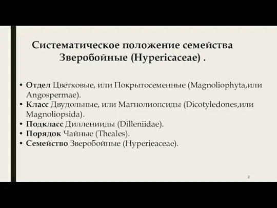 Систематическое положение семейства Зверобойные (Hypericaceae) . Отдел Цветковые, или Покрытосеменные