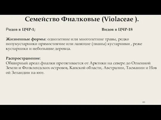 Семействo Фиалковые (Violaceae ). Родов в ЦЧР-1; Видов в ЦЧР-18