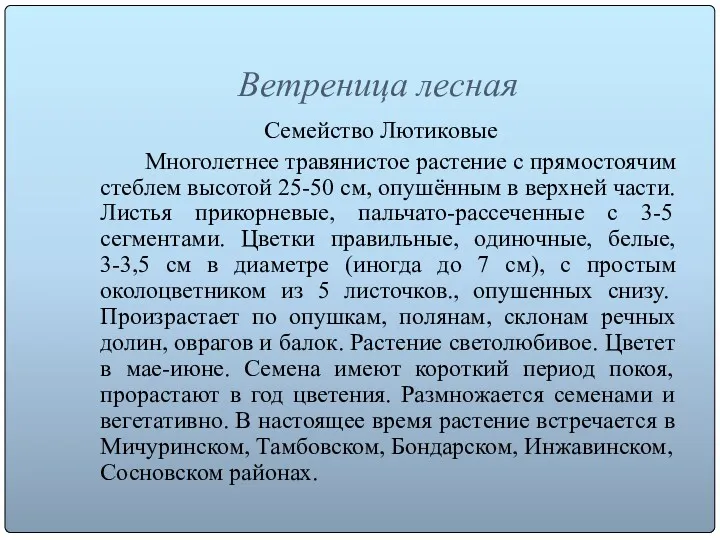 Ветреница лесная Семейство Лютиковые Многолетнее травянистое растение с прямостоячим стеблем