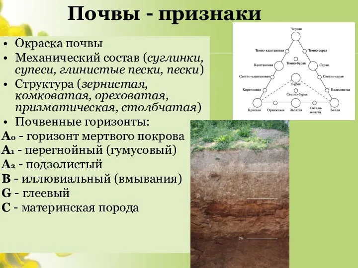 Почвы - признаки Окраска почвы Механический состав (суглинки, супеси, глинистые