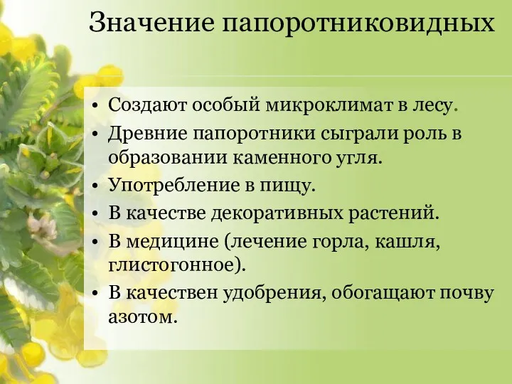 Значение папоротниковидных Создают особый микроклимат в лесу. Древние папоротники сыграли