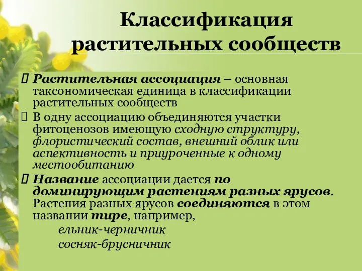 Классификация растительных сообществ Растительная ассоциация – основная таксономическая единица в