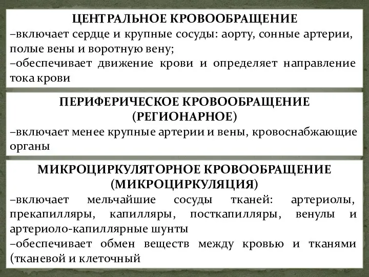 Общая характеристика системы кровообращения Система кровообращения состоит из трёх отделов,