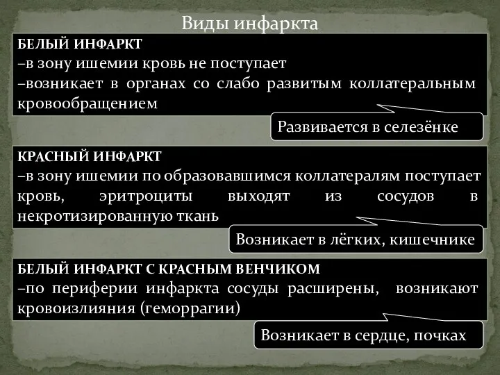 БЕЛЫЙ ИНФАРКТ –в зону ишемии кровь не поступает –возникает в