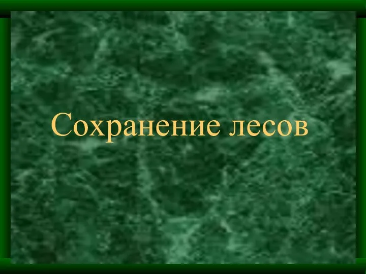 Сохранение лесов