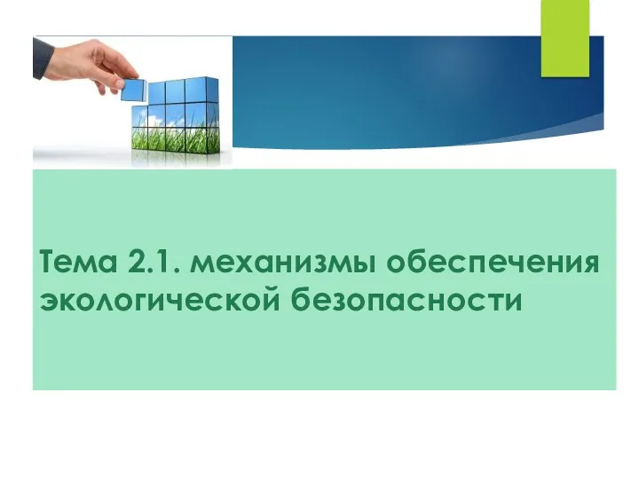 Тема 2.1. механизмы обеспечения экологической безопасности