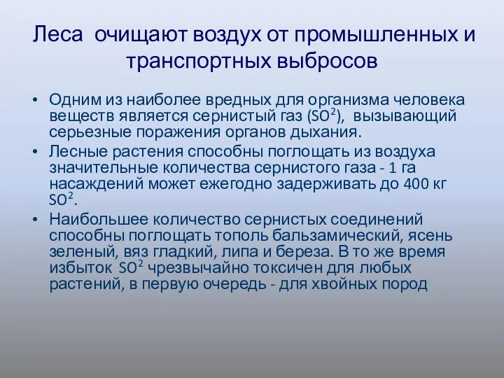 Леса очищают воздух от промышленных и транспортных выбросов Одним из наиболее вредных для