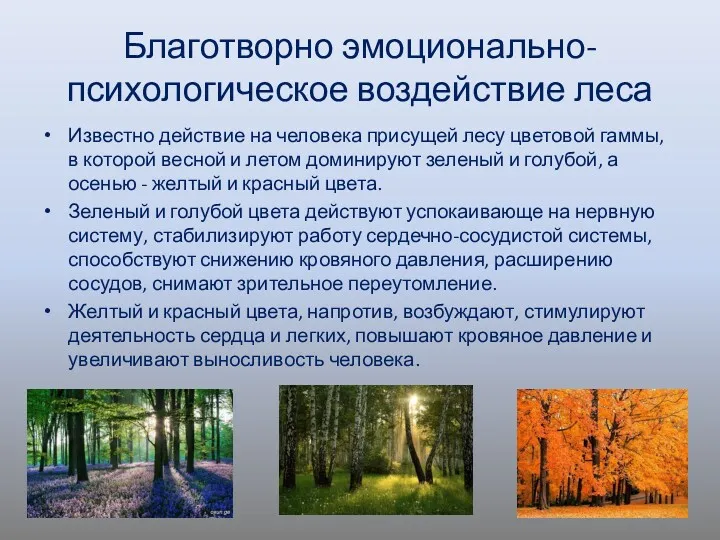 Благотворно эмоционально-психологическое воздействие леса Известно действие на человека присущей лесу цветовой гаммы, в