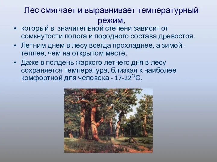 Лес смягчает и выравнивает температурный режим, который в значительной степени зависит от сомкнутости
