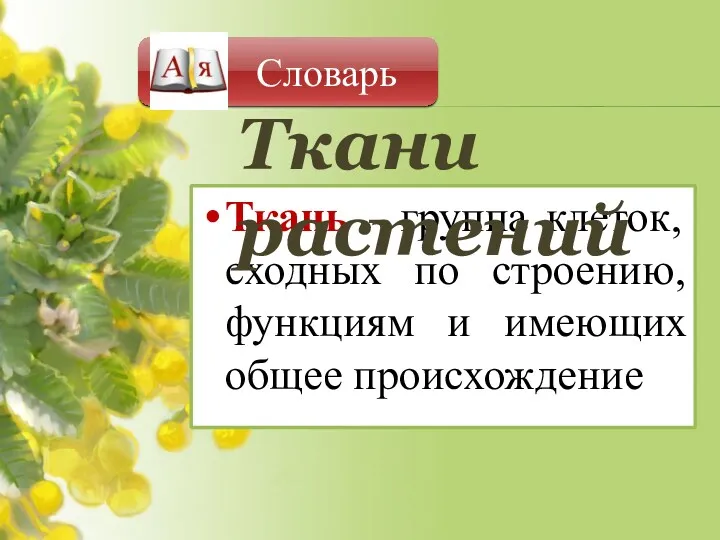 Ткань - группа клеток, сходных по строению, функциям и имеющих общее происхождение Словарь Ткани растений