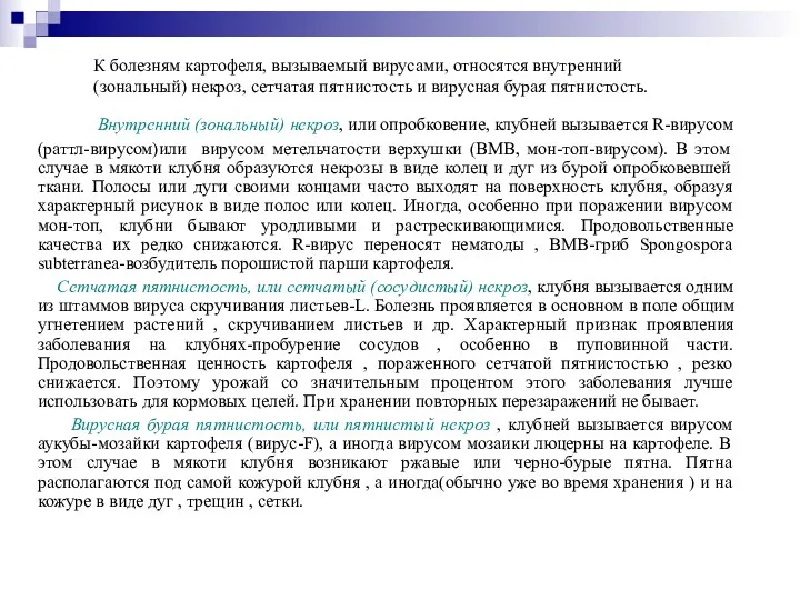 К болезням картофеля, вызываемый вирусами, относятся внутренний (зональный) некроз, сетчатая