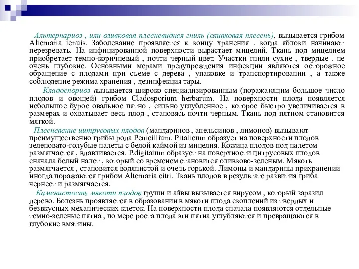 Альтернариоз , или оливковая плесневидная гниль (оливковая плесень), вызывается грибом