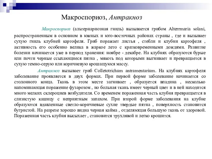 Макроспориоз, Антракноз Макроспориоз (альтернариозная гниль) вызывается грибом Alterrmaria solani, распространенным