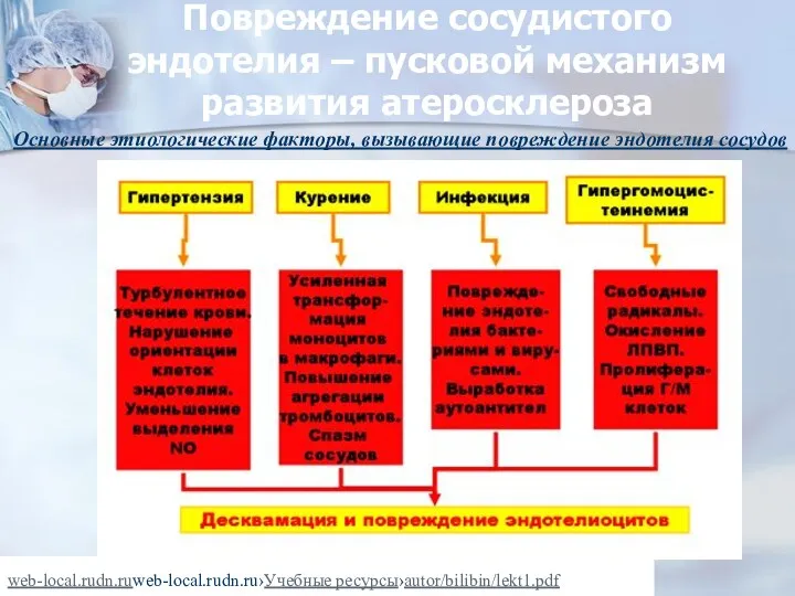 Повреждение сосудистого эндотелия – пусковой механизм развития атеросклероза Основные этиологические