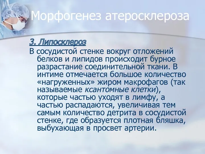 Морфогенез атеросклероза 3. Липосклероз В сосудистой стенке вокруг отложений белков