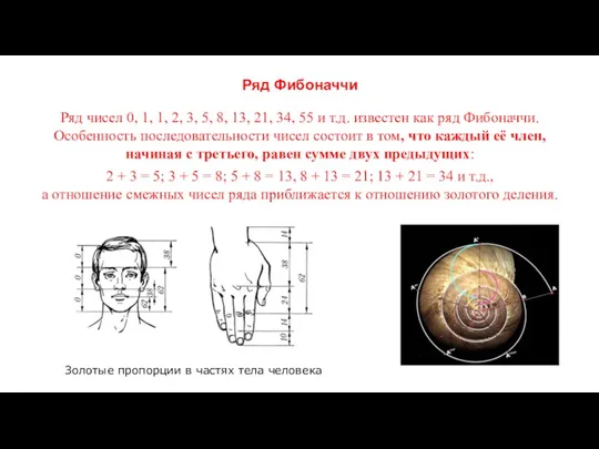 Ряд Фибоначчи Ряд чисел 0, 1, 1, 2, 3, 5,