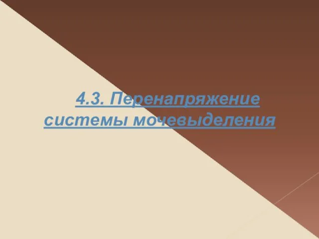 4.3. Перенапряжение системы мочевыделения