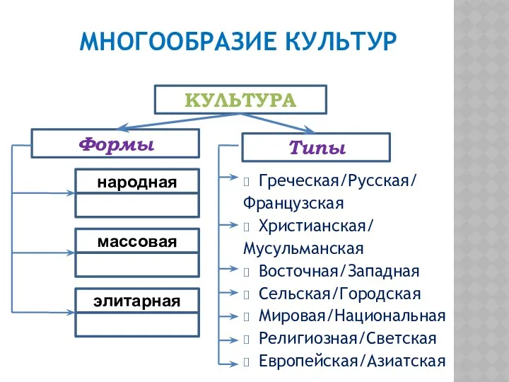 МНОГООБРАЗИЕ КУЛЬТУР