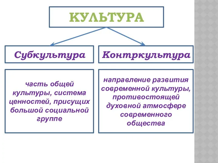 КУЛЬТУРА Контркультура Субкультура часть общей культуры, система ценностей, присущих большой