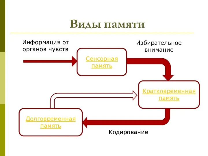 Виды памяти